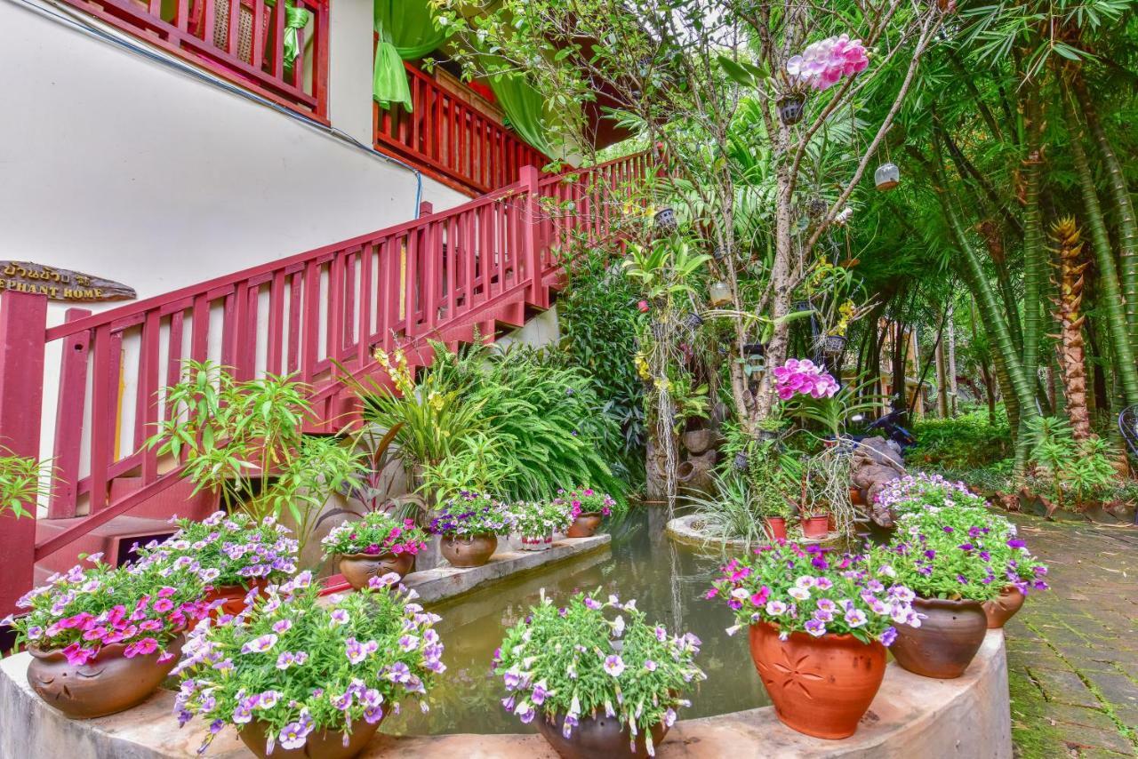 Xishuangbanna Elephant Home Guesthouse จิ่งหง ภายนอก รูปภาพ
