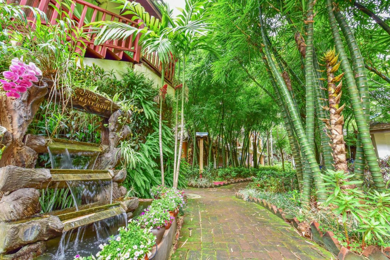 Xishuangbanna Elephant Home Guesthouse จิ่งหง ภายนอก รูปภาพ